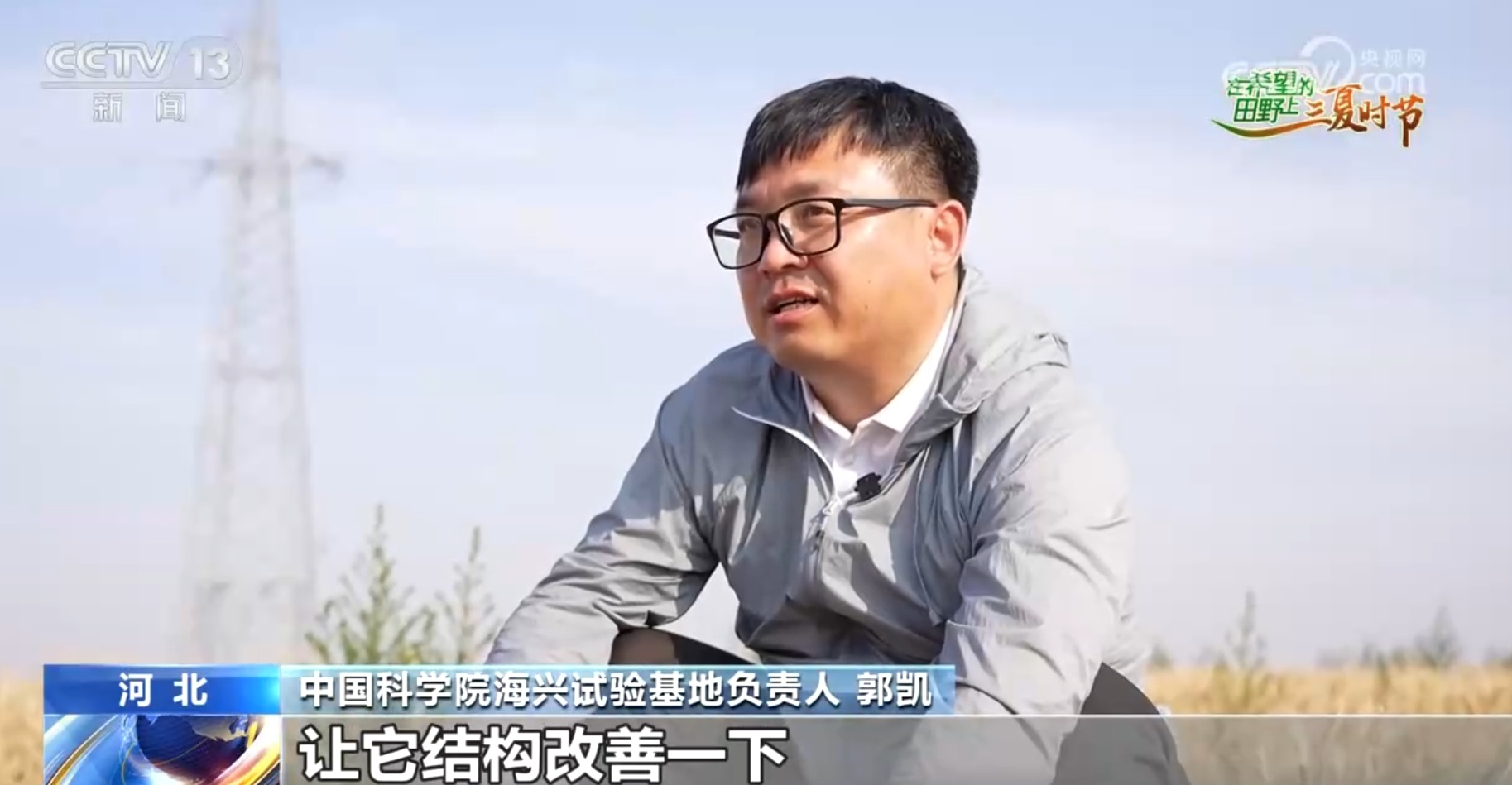 破“碱”重生提产量、壮产业 盐碱地治理助力端稳端牢“中国饭碗”