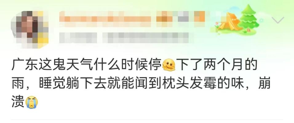 “热辣鸡腿”上线！最近不少广东人家里出现这个！更崩溃的是……