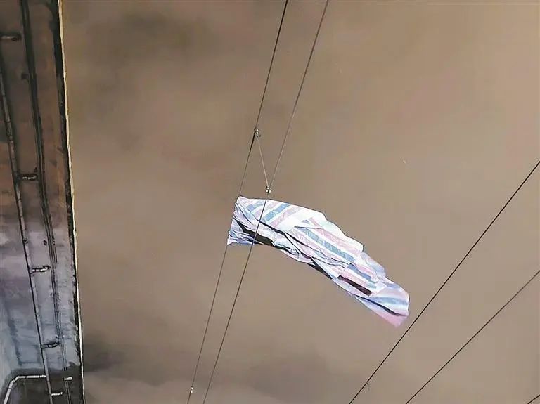 一动车被紧急逼停!竟是因为… 一动车被紧急逼停!竟是因为…