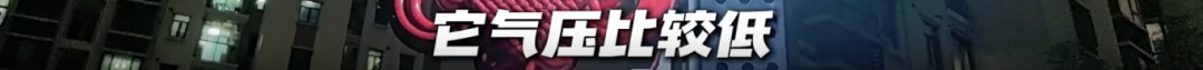 上海昨晚白蚁“大爆发”？冲上热搜！鸡皮疙瘩掉一地，这一波还将持续到...