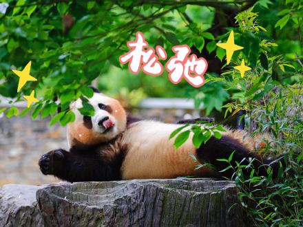 来了！福宝专属表情包第二弹