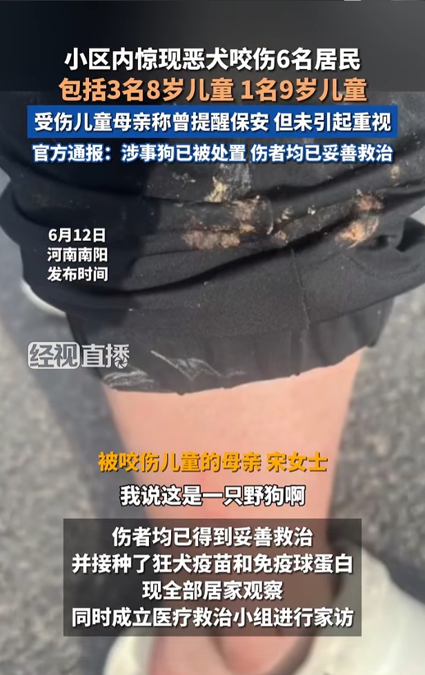 恶狗小区内咬伤6人,包括4名儿童!孩子母亲还原经过 恶狗小区内咬伤6人,包括4名儿童!孩子母亲还原经过