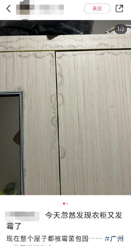 广州52天只有7天没下雨，不少广东人家里出现这个......