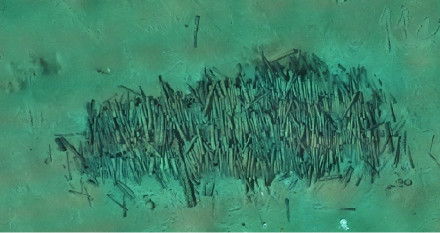 南海沉船遗址新提取900余件文物