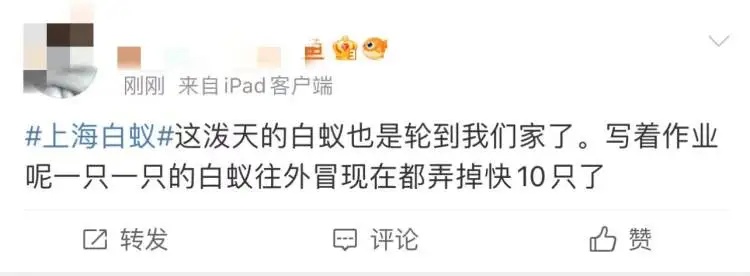 大爆发？知名歌手吃饭时被吓到！网友：感觉张嘴能吃到10只