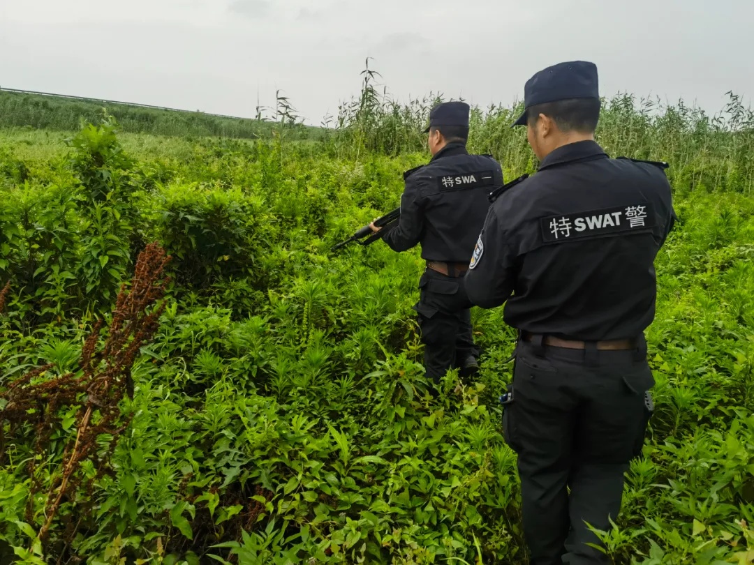 突发！当场击毙！