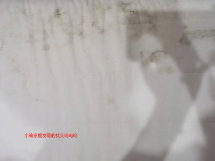 广州52天只有7天没下雨，不少广东人家里出现这个......