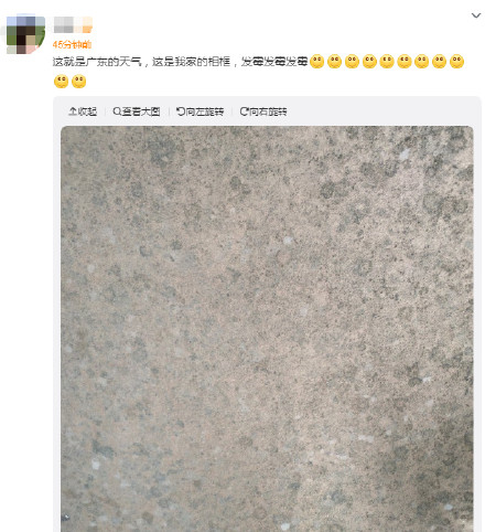 广州52天只有7天没下雨，不少广东人家里出现这个......