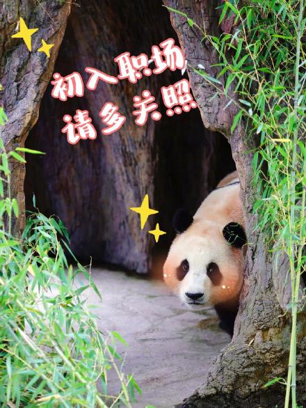 来了！福宝专属表情包第二弹