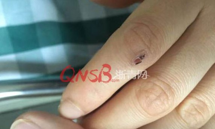 浙江女子网购一条蛇,1米多长!拆开快递,瞬间崩溃:我再也不敢了 浙江女子网购一条蛇,1米多长!拆开快递,瞬间崩溃:我再也不敢了