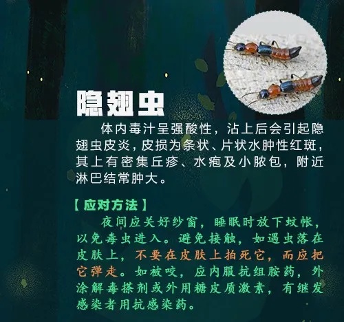 已到高发期,多人中招!曾有人因此丧命…… 已到高发期,多人中招!曾有人因此丧命……