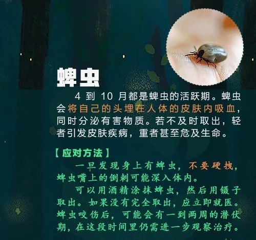 已到高发期,多人中招!曾有人因此丧命…… 已到高发期,多人中招!曾有人因此丧命……