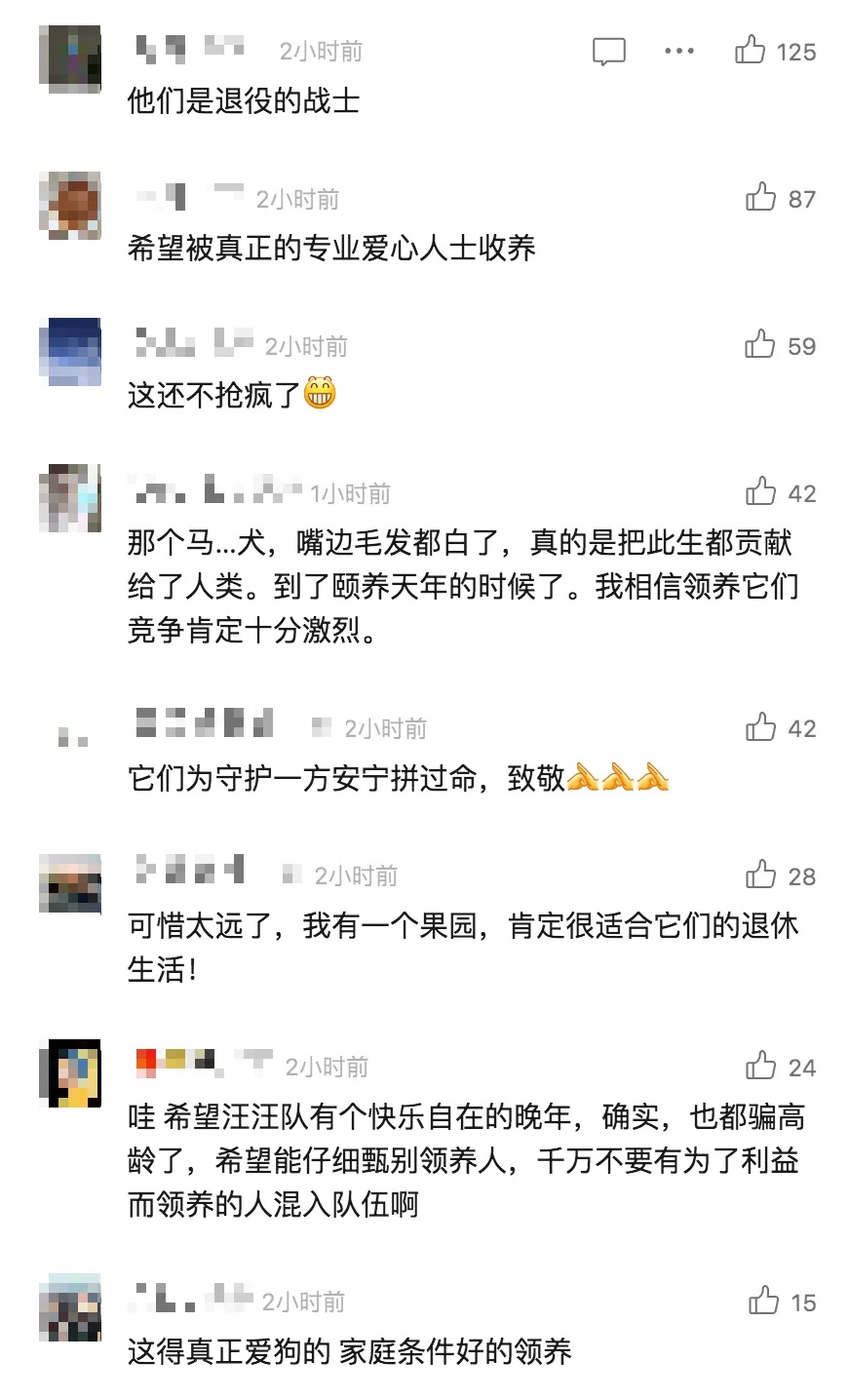 上海这7只狗狗发布领养公告，网友：不得抢疯了！