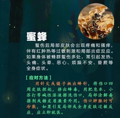 已到高发期,多人中招!曾有人因此丧命…… 已到高发期,多人中招!曾有人因此丧命……