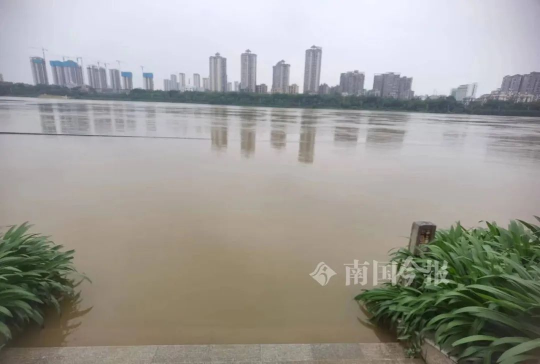 刚刚!柳州市启动四级应急响应! 刚刚!柳州市启动四级应急响应!