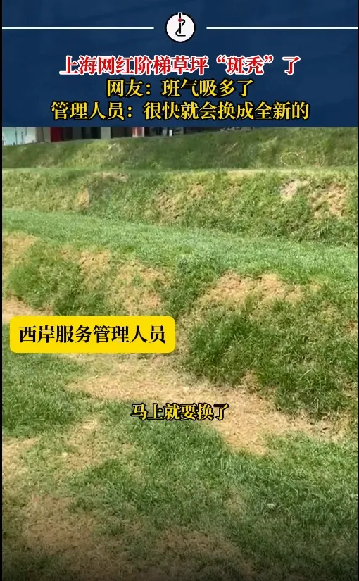 太“秃然 ”!上海网红草坪秃了?最新回应→ 太“秃然 ”!上海网红草坪秃了?最新回应→