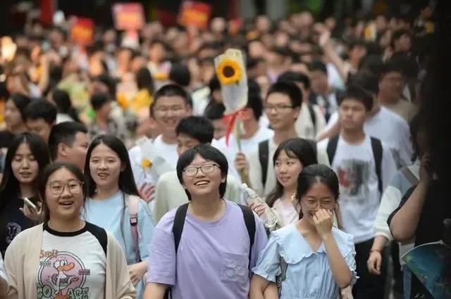 高考志愿填报的信息差，不能靠网红来补