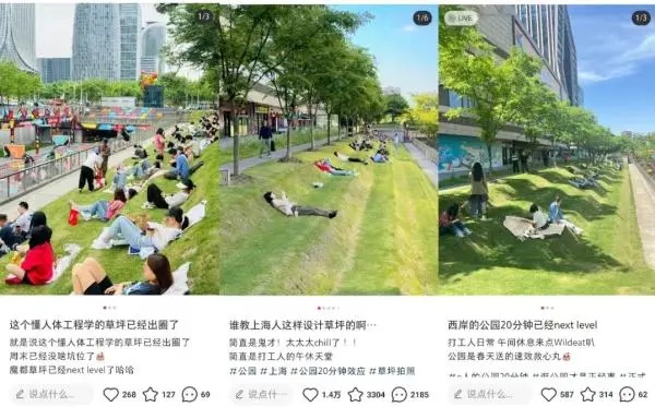 太“秃然 ”!上海网红草坪秃了?最新回应→ 太“秃然 ”!上海网红草坪秃了?最新回应→