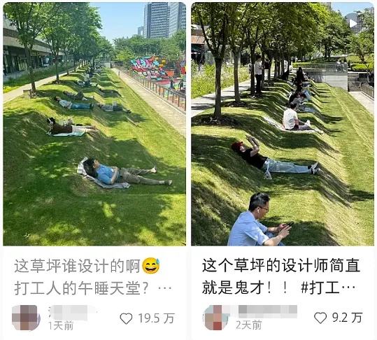 上海这块充满松弛感的网红阶梯草坪，突然“斑秃”了？网友：吸收了太多“班气”