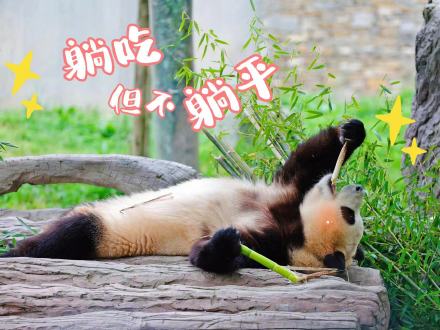 来了！福宝专属表情包第二弹