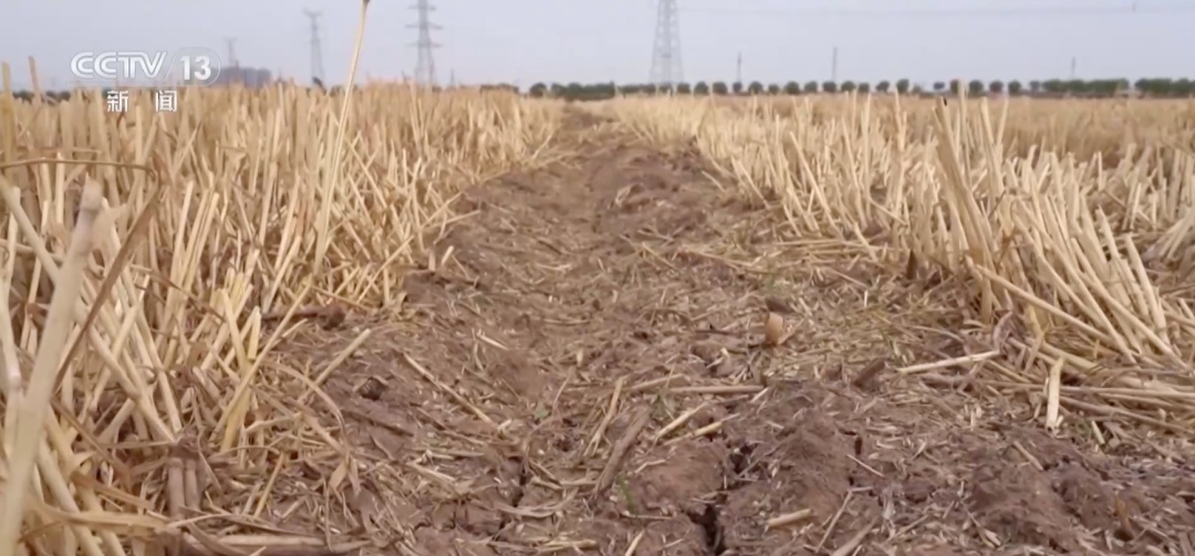地表温度或超70℃!这些地方注意 地表温度或超70℃!这些地方注意