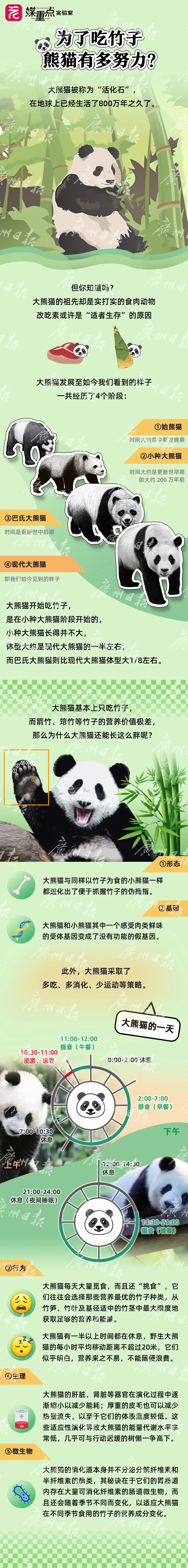 “顶流”正式复出！网友：看不够