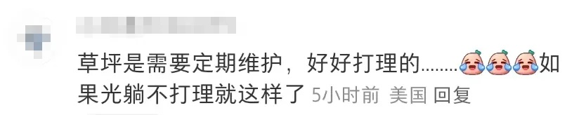 太“秃然 ”!上海网红草坪秃了?最新回应→ 太“秃然 ”!上海网红草坪秃了?最新回应→