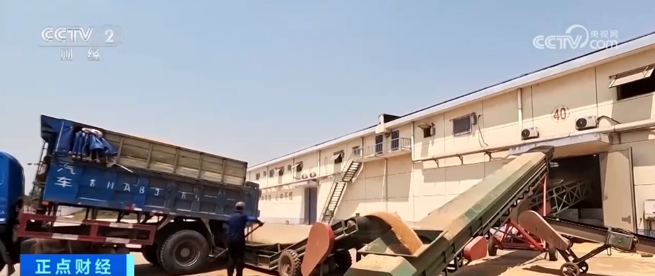 收购开局良好！让农民卖“明白粮”“放心粮” 确保夏粮丰收入库、颗粒归仓