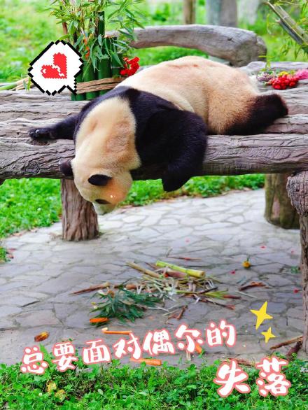 来了！福宝专属表情包第二弹