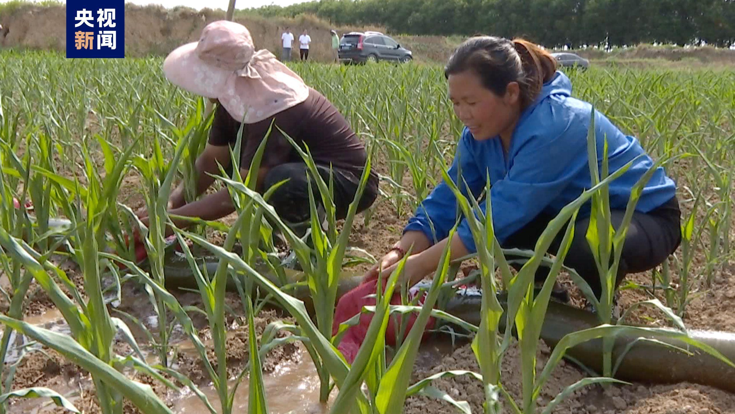 山西临汾发布干旱橙色预警信号