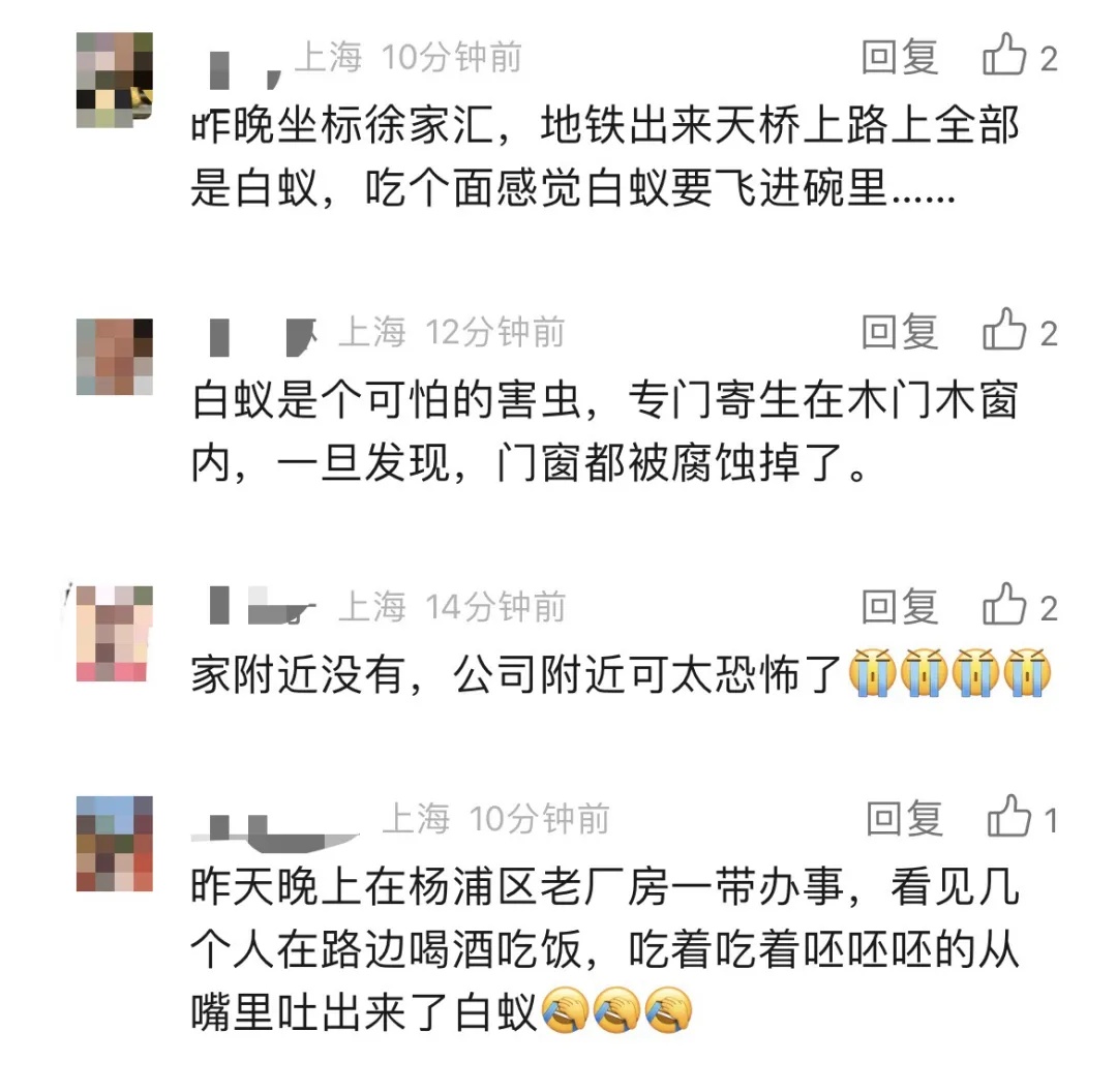 大爆发？知名歌手吃饭时被吓到！网友：感觉张嘴能吃到10只
