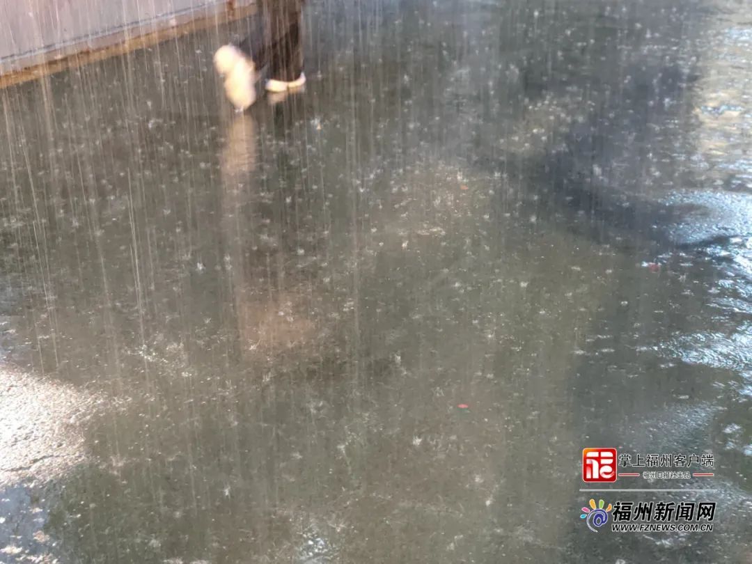 暴雨红色预警！福州这雨好大！这雨定闹钟了？