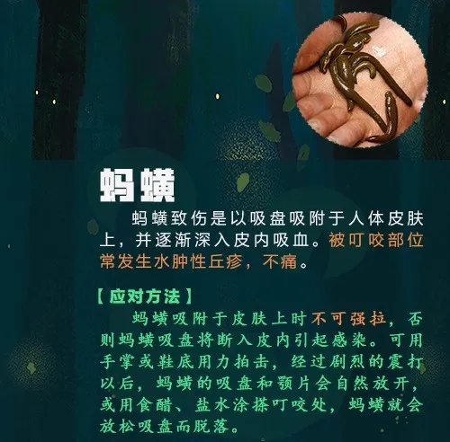 已到高发期,多人中招!曾有人因此丧命…… 已到高发期,多人中招!曾有人因此丧命……