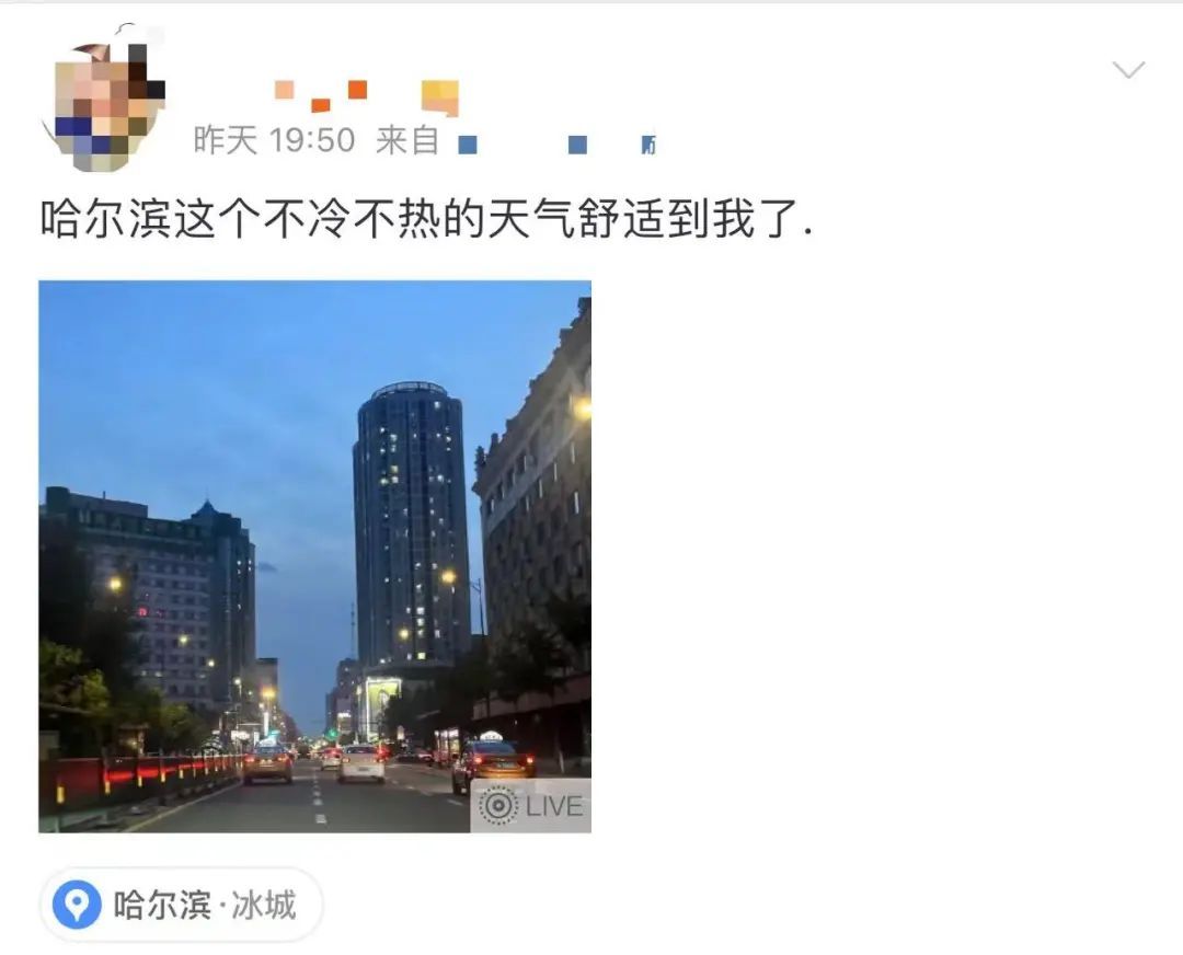 “热到烫脚”，全国多地地表温度或超70℃！哈尔滨网友：不穿外套冷……