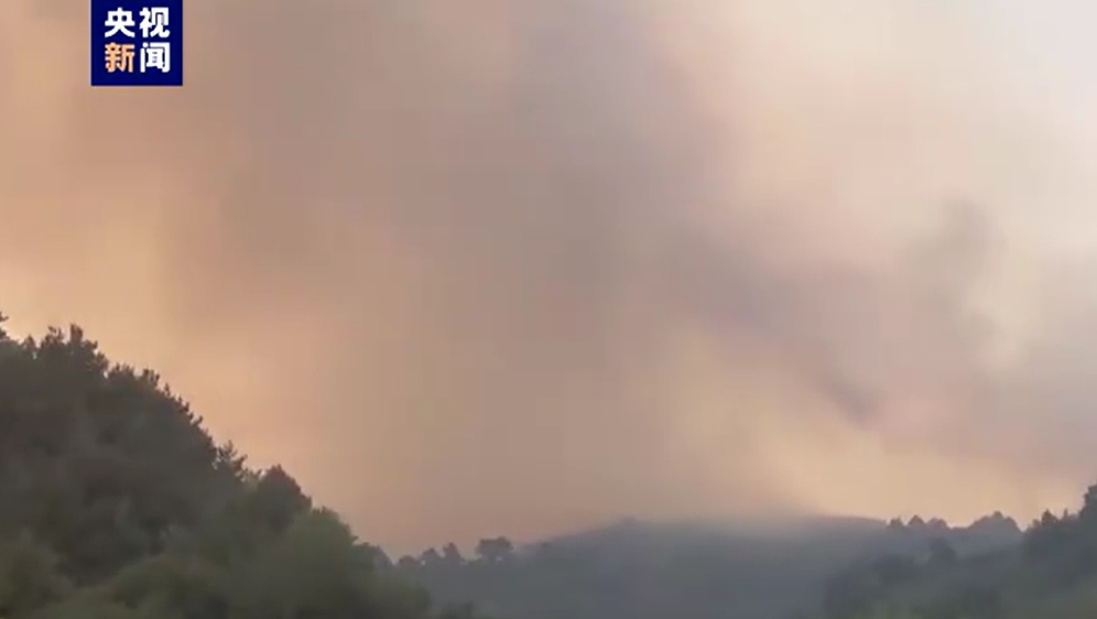 此地山火绵延数公里！600多人全力扑救，原因已初判→