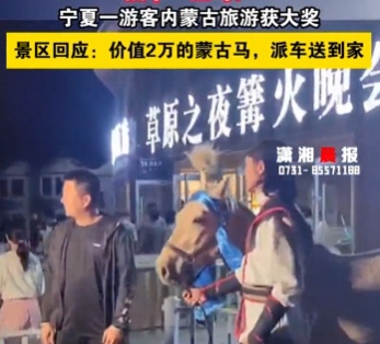 游客景区抽奖中了一匹马！网友：怎么带回家？