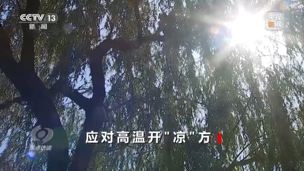 本轮高温还将持续多久?各地有何解暑“凉”方 本轮高温还将持续多久?各地有何解暑“凉”方