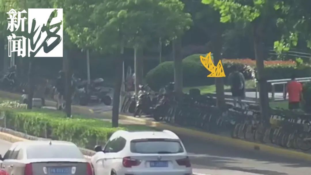 沪公园内一少年散步晒太阳，民警：不对劲！