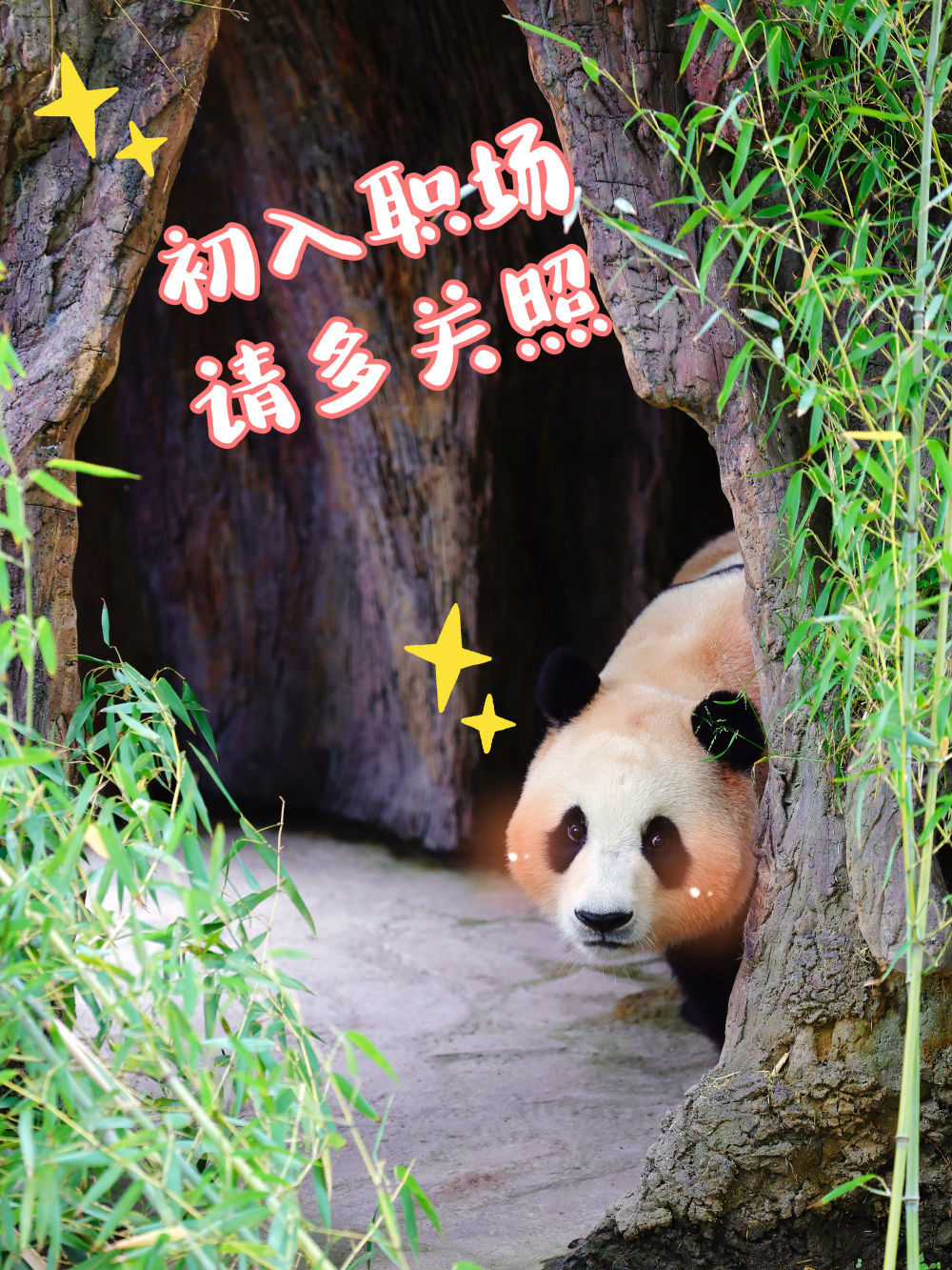 表情包丨“福宝”,暖宝 表情包丨“福宝”,暖宝