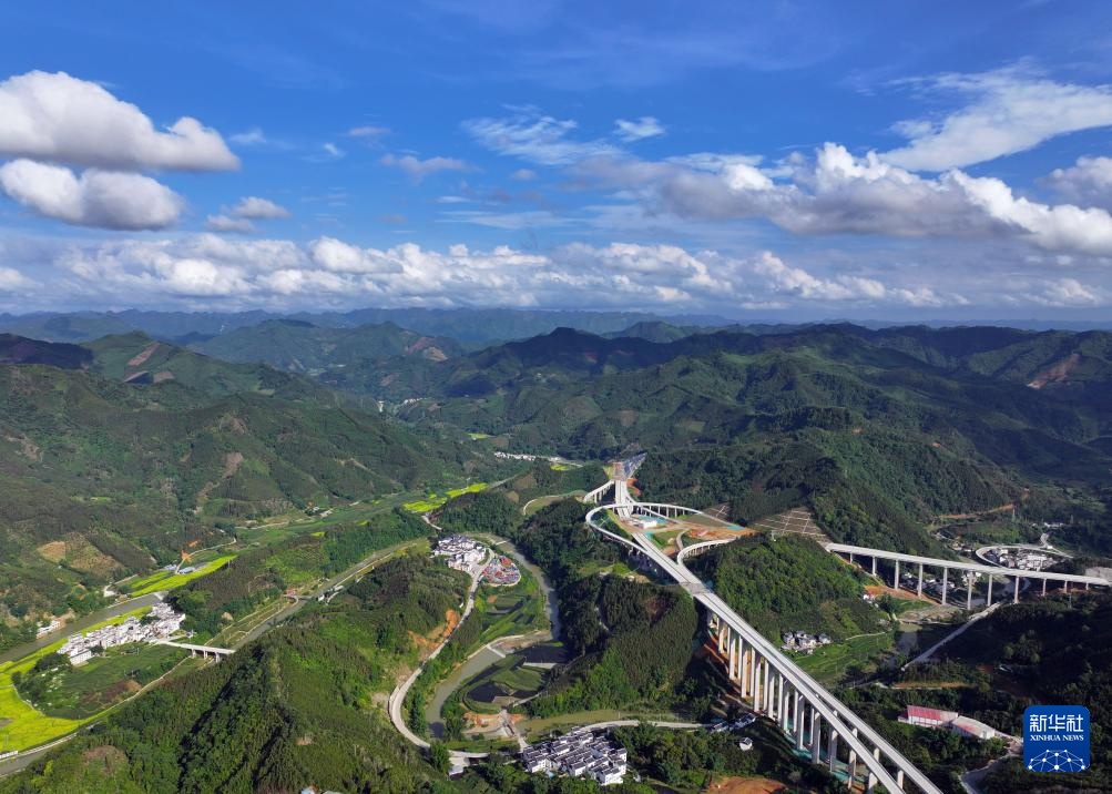 这五年,黄文秀的“接棒者”们续写青春之歌 这五年,黄文秀的“接棒者”们续写青春之歌