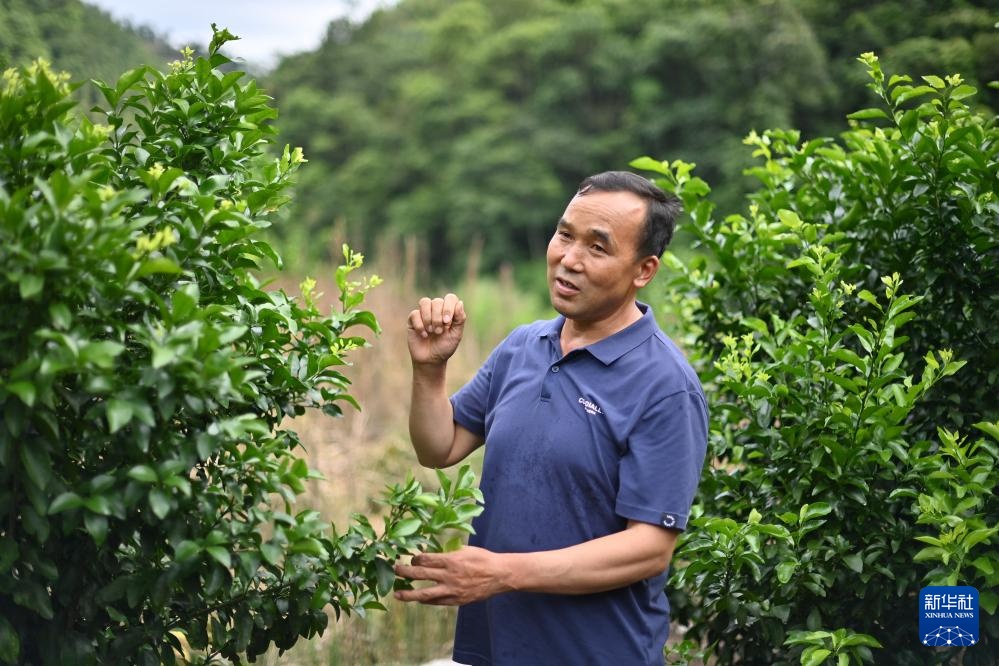 这五年,黄文秀的“接棒者”们续写青春之歌 这五年,黄文秀的“接棒者”们续写青春之歌