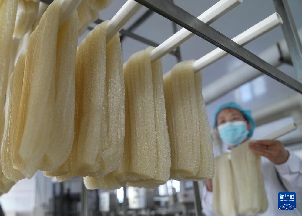 河北昌黎:农产品深加工助力乡村振兴 河北昌黎:农产品深加工助力乡村振兴