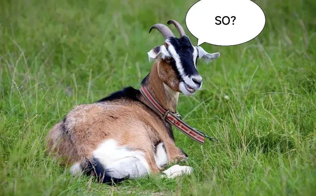 被羊咬了一口,深圳男子反复高烧不退,病因原来是→ 被羊咬了一口,深圳男子反复高烧不退,病因原来是→