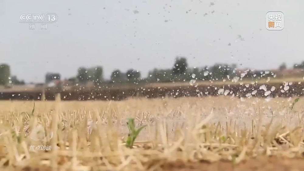 本轮高温还将持续多久?各地有何解暑“凉”方 本轮高温还将持续多久?各地有何解暑“凉”方