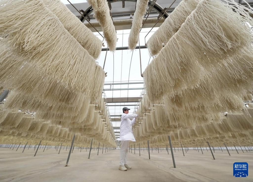 河北昌黎:农产品深加工助力乡村振兴 河北昌黎:农产品深加工助力乡村振兴