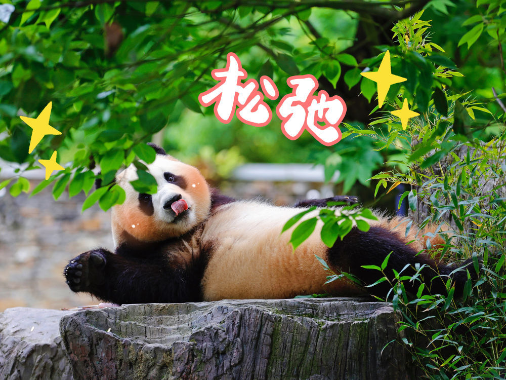 表情包丨“福宝”,暖宝 表情包丨“福宝”,暖宝