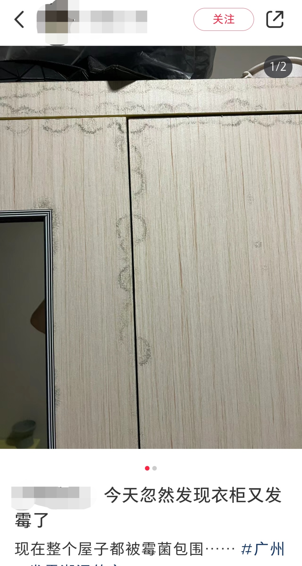 绷不住了!最近不少广东人家里出现这个,更崩溃的是…… 绷不住了!最近不少广东人家里出现这个,更崩溃的是……