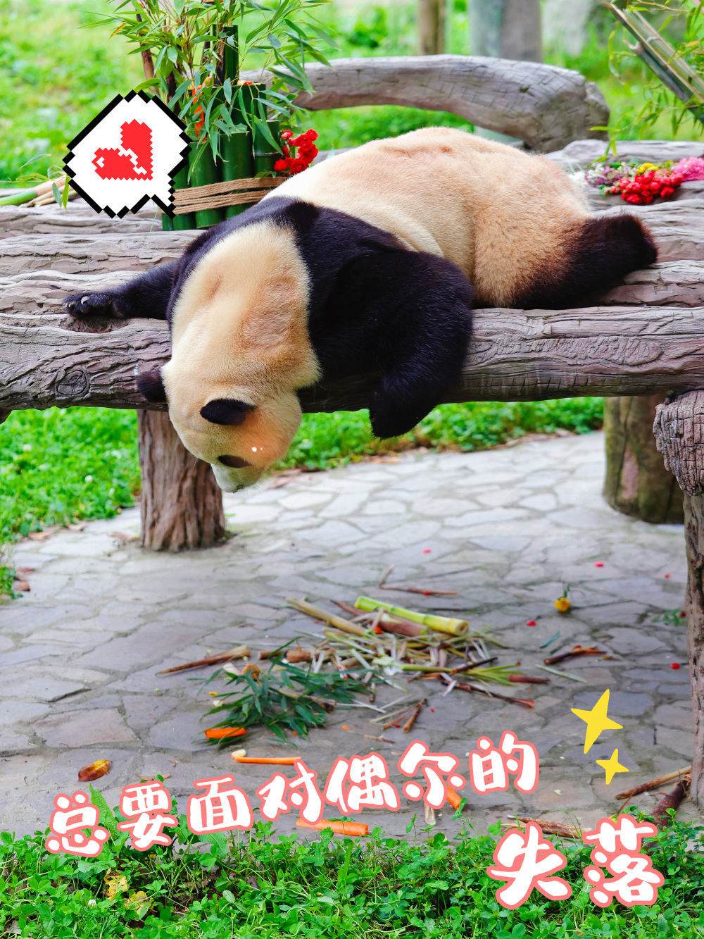 表情包丨“福宝”,暖宝 表情包丨“福宝”,暖宝