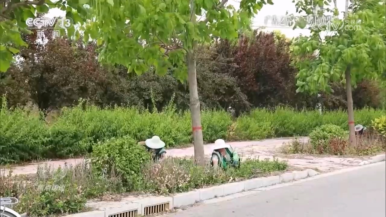 应对高温开“凉”方