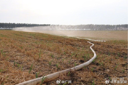 河南全省土壤干旱比例达63% 河南全省土壤干旱比例达63%